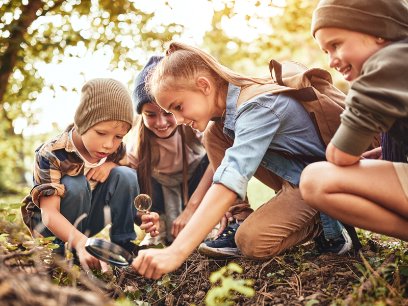 klimaskog-klassenfahrt-lernen-fuer-den-waldschutz3