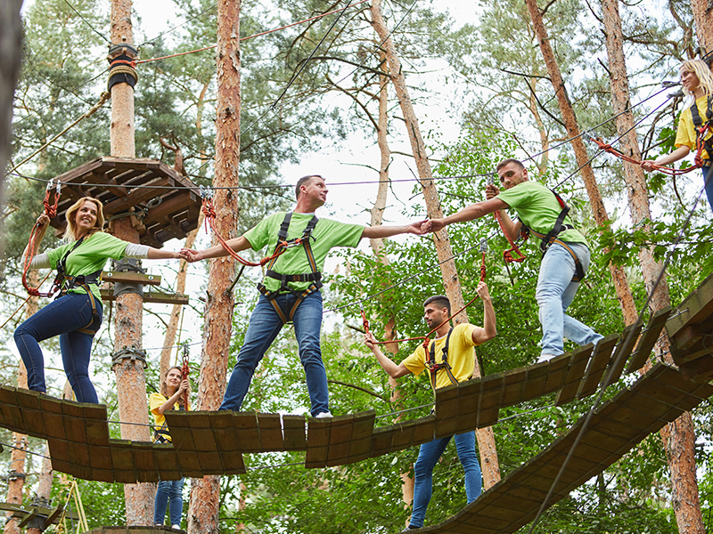 Klimaskog Norwegen - Walderlebnisse - Motivation, Teambuilding