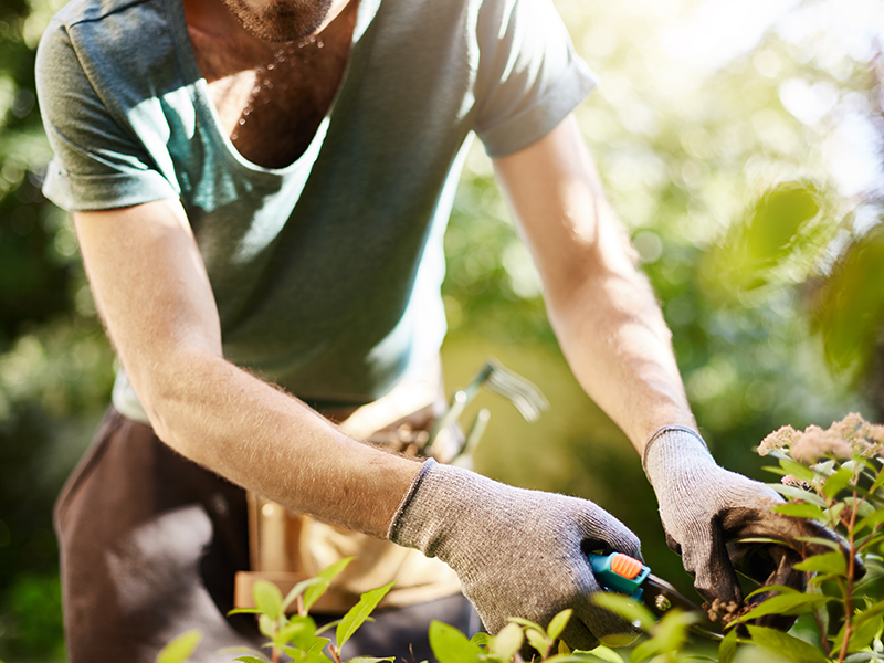 Klimaskog Norwegen - Walderlebnisse - Ökologischer Gartenbau